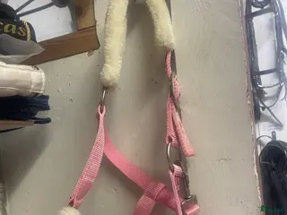 Övrig Hästutrustning hästutrustning Mullegrimma rosa - Annons 6