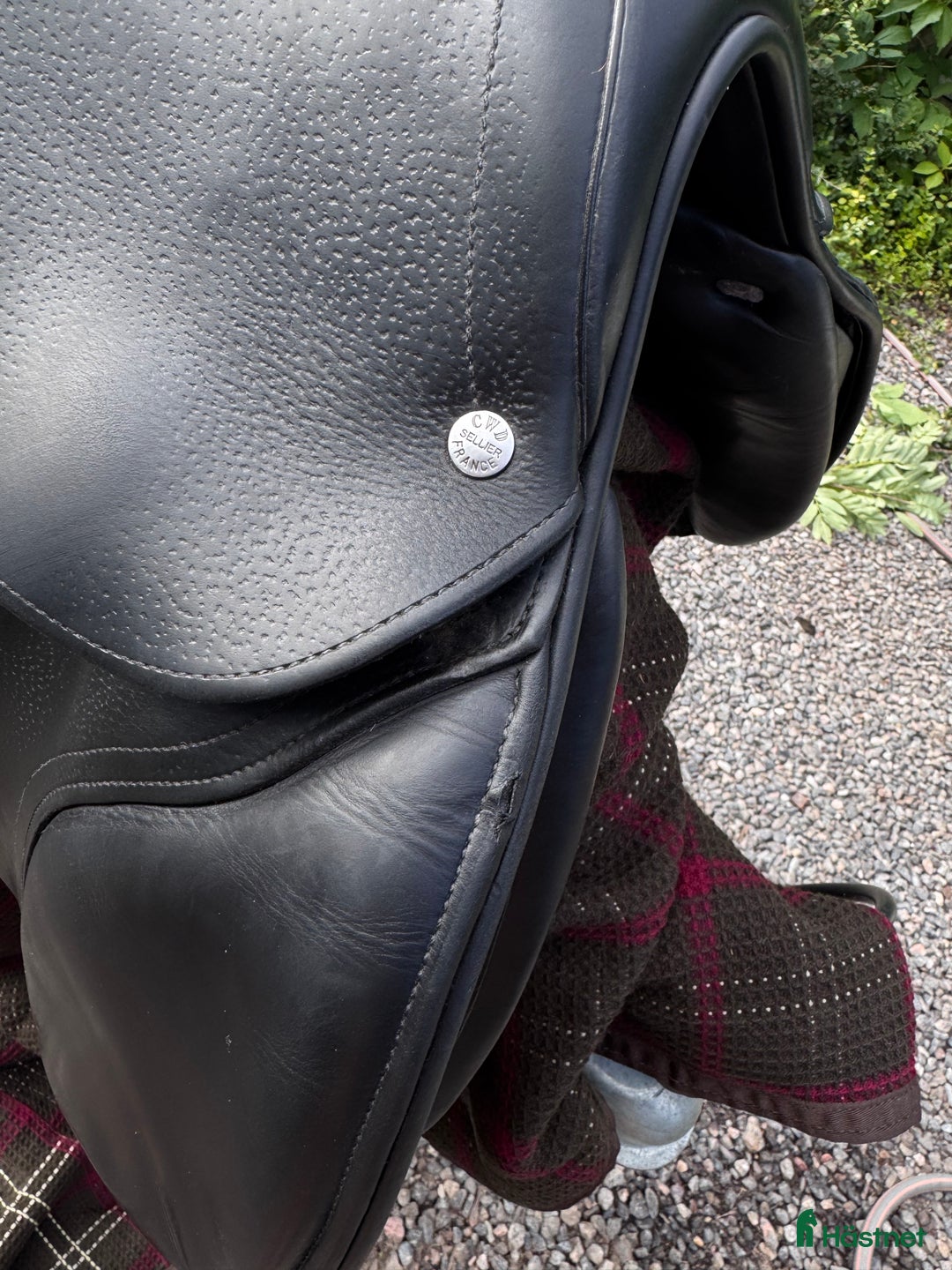 Sadlar hästutrustning till salu: CWD SE03 17 2L i Järna - Annons 5