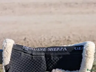 Sadeltillbehör hästutrustning Fårskinnspadd - Annons 3