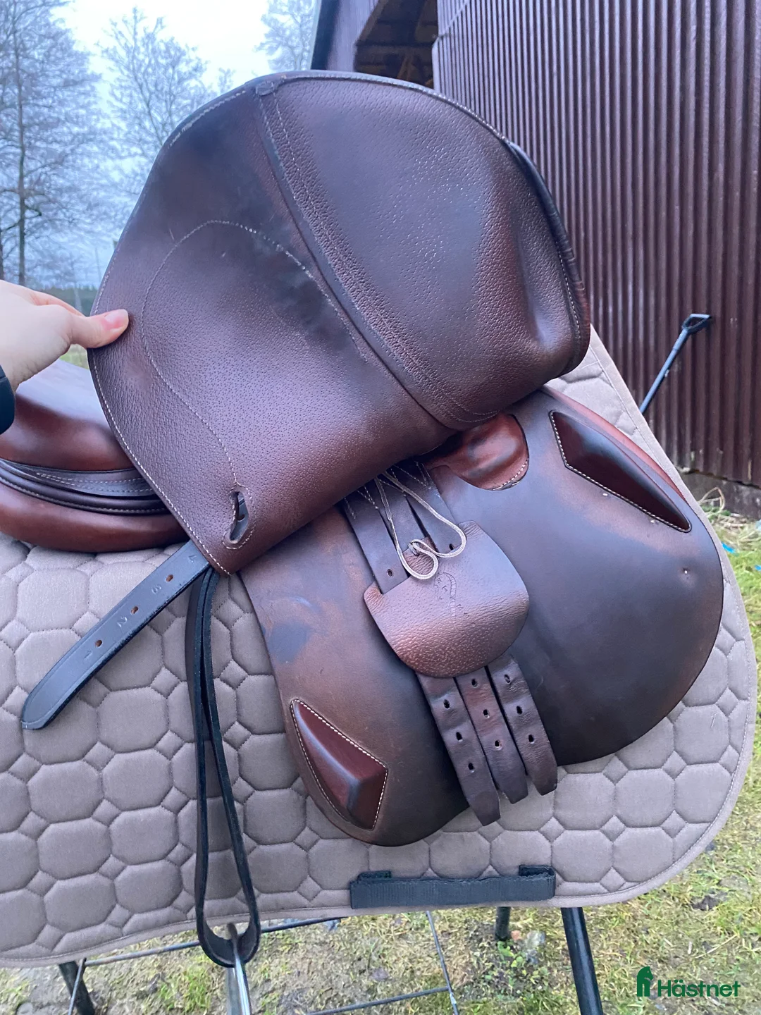 Sadlar hästutrustning till salu: Kvalitets sadel från Antares i Göteborg - Annons 11