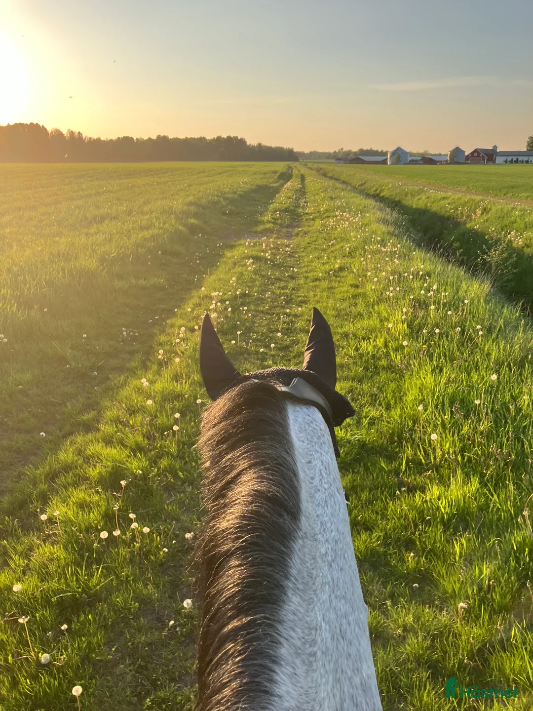  stallplats finnes: Stallplats i Mantorp - Annons 5