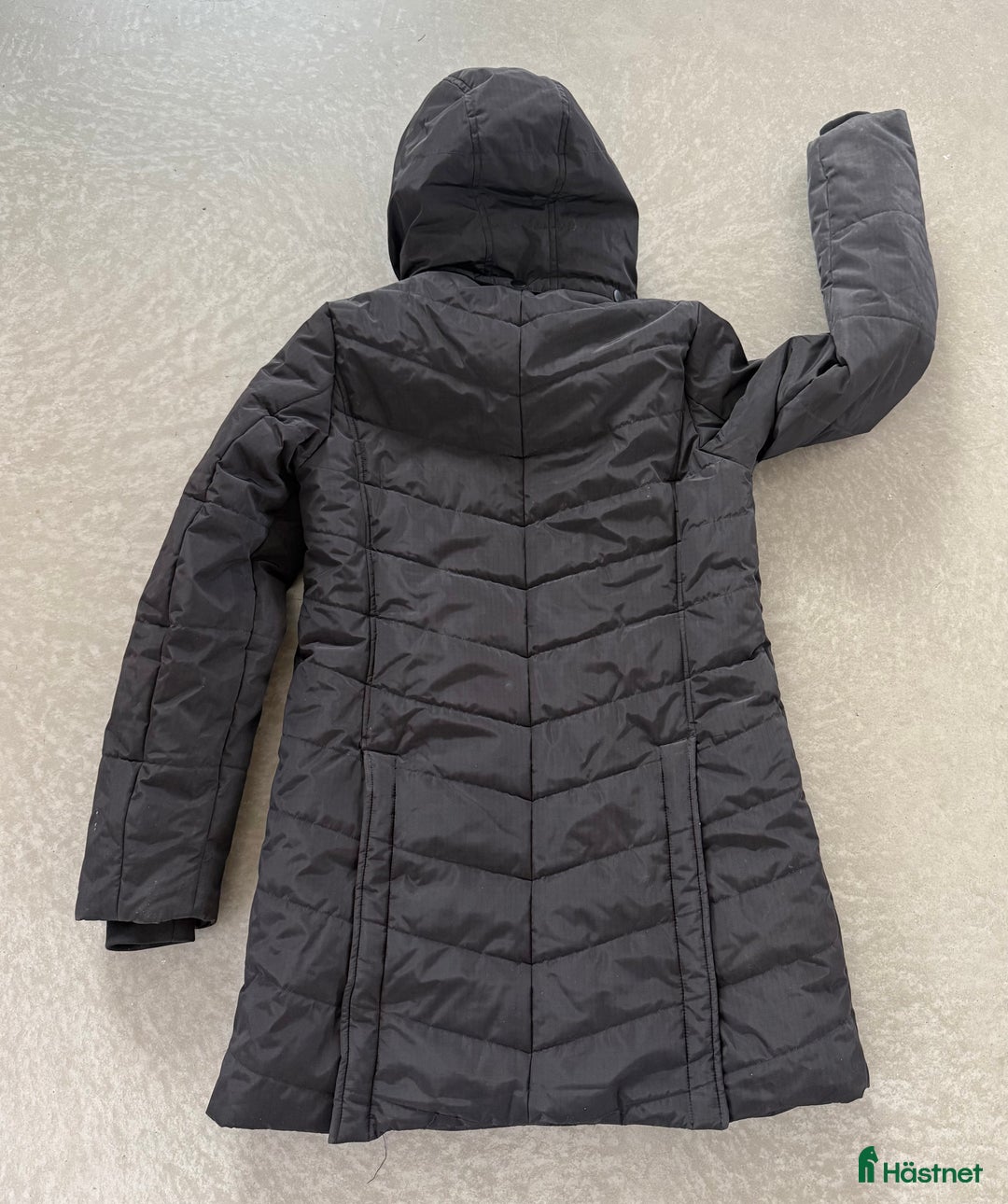 Jackor & Kavajer ryttarutrustning till salu: JH Collection vinterjacka stl xs i Umeå - Annons 2