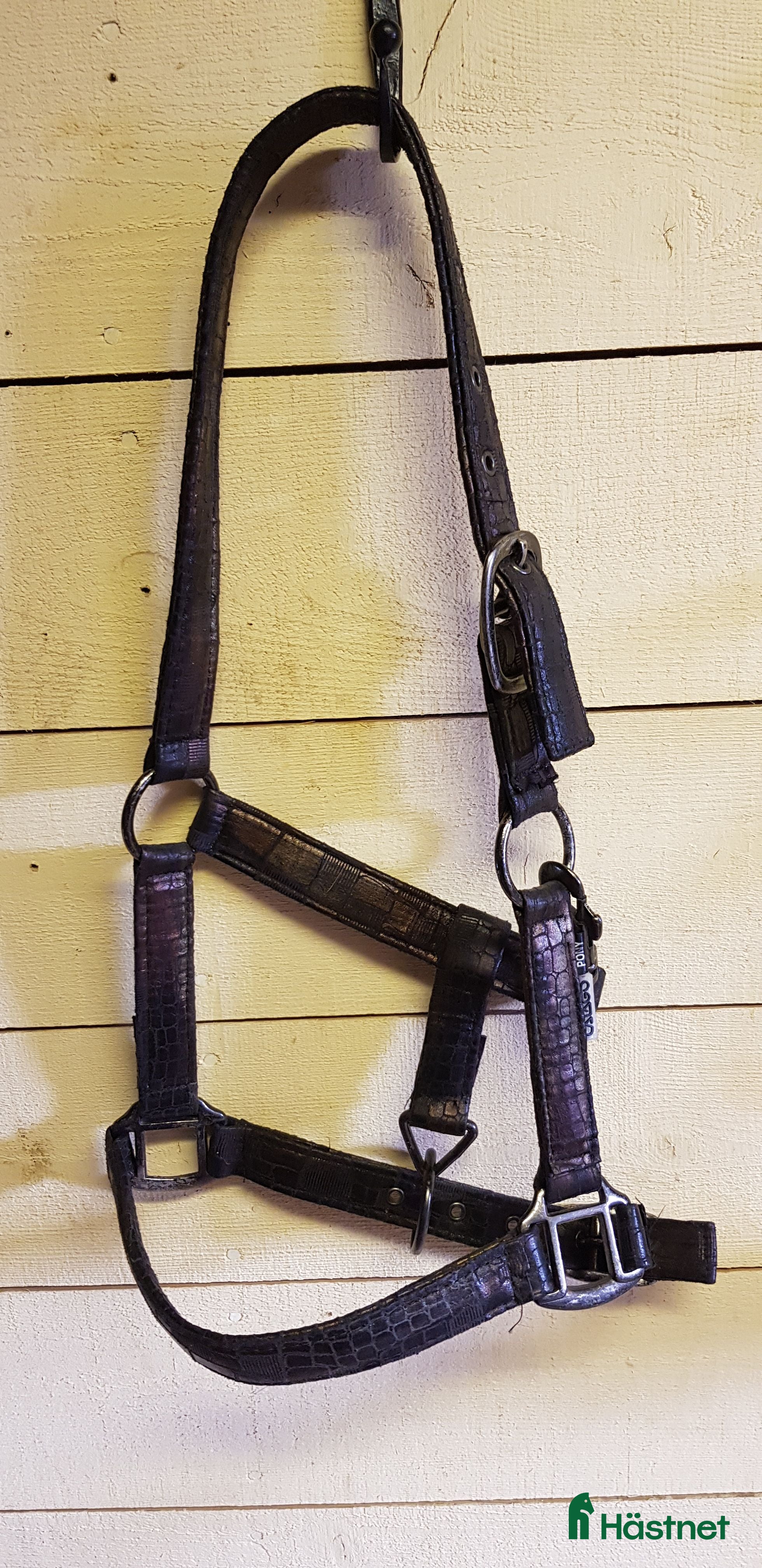 Övrig Hästutrustning hästutrustning Grimma i färgen safari i Nora - Annons 10
