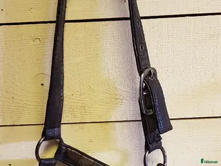 Övrig Hästutrustning hästutrustning Grimma i färgen safari i Nora - Annons 10