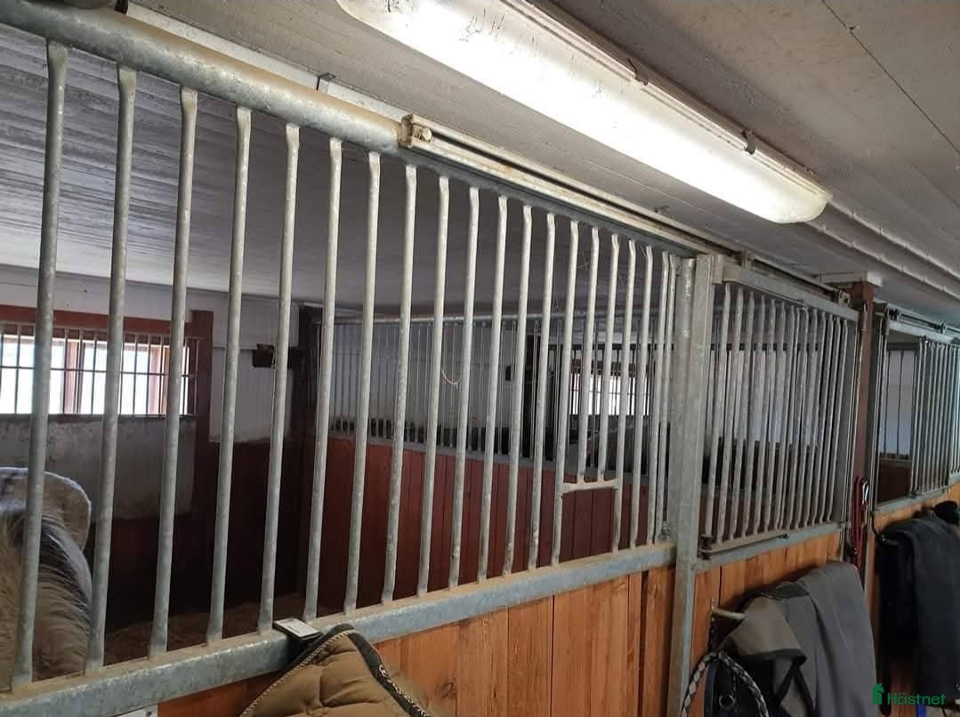  stallplats Plats lösdrift - Annons 13