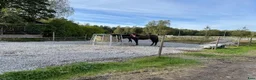  stallplats finnes: Lösdriftsplats finnes - Annons 7