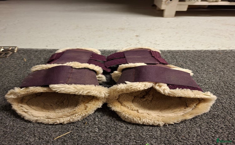 Benskydd hästutrustning till salu i Jättendal - Annons 2