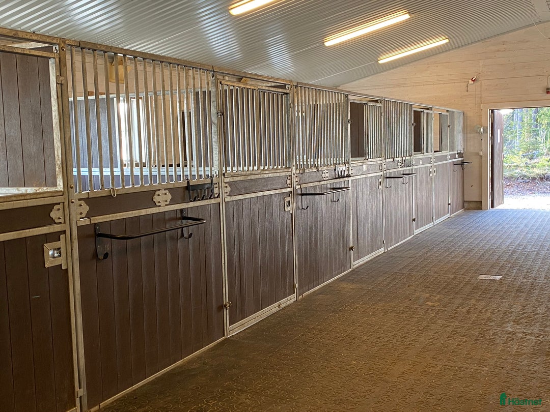  hästgårdar till salu: Charmigt stall i lantlig idyll, vackert renoverat! i Edsbro - Annons 4