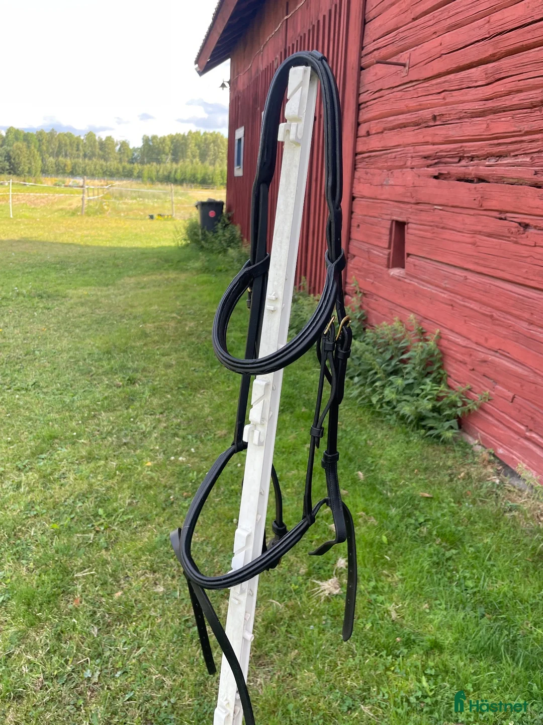 Träns hästutrustning till salu: Equipe träns - Annons 2