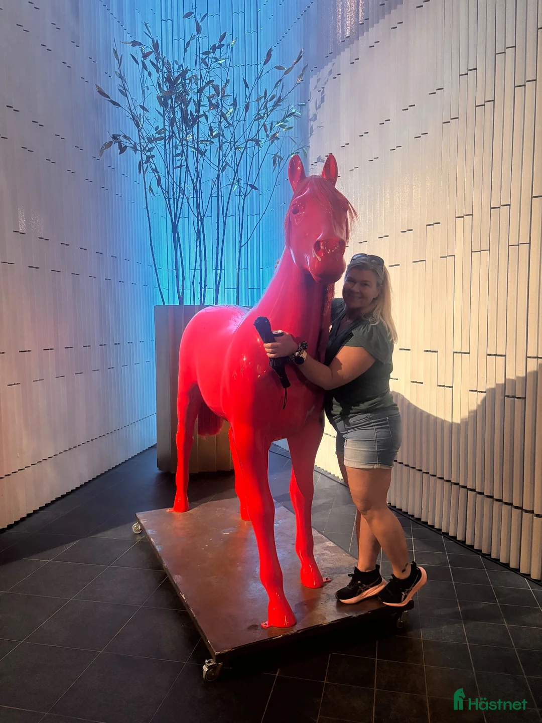 Galleribild {{count}}