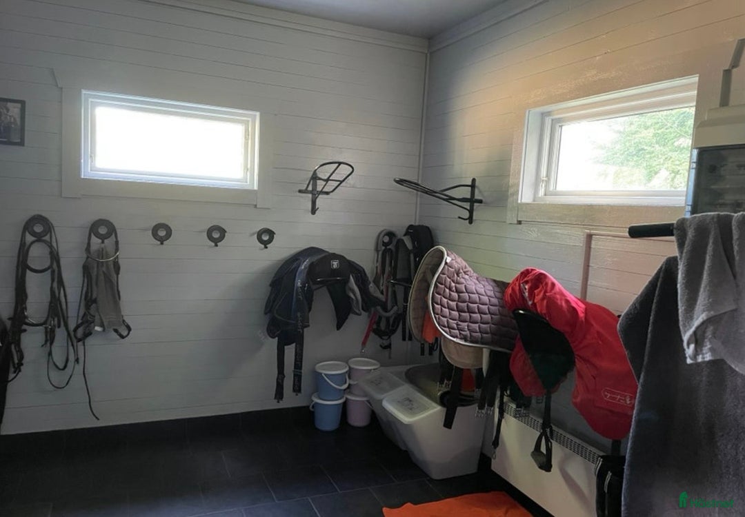  stallplats finnes: Två boxplatser på stall Rydbolund i Tollarp - Annons 4