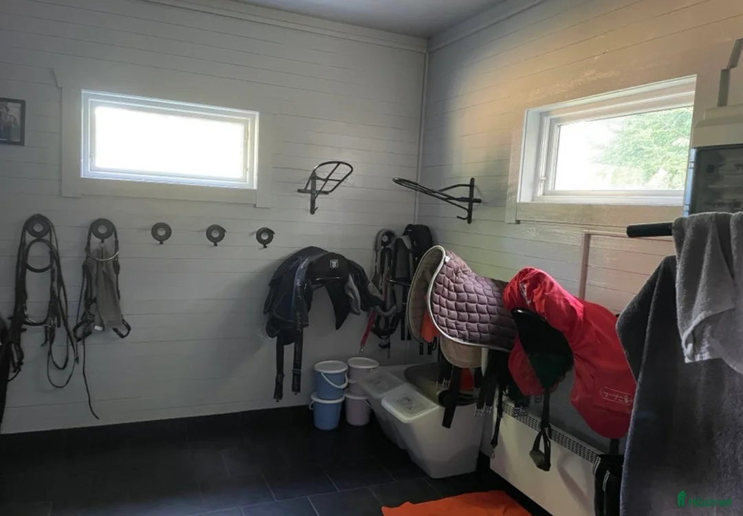  stallplats finnes: Två boxplatser på stall Rydbolund i Tollarp - Annons 4