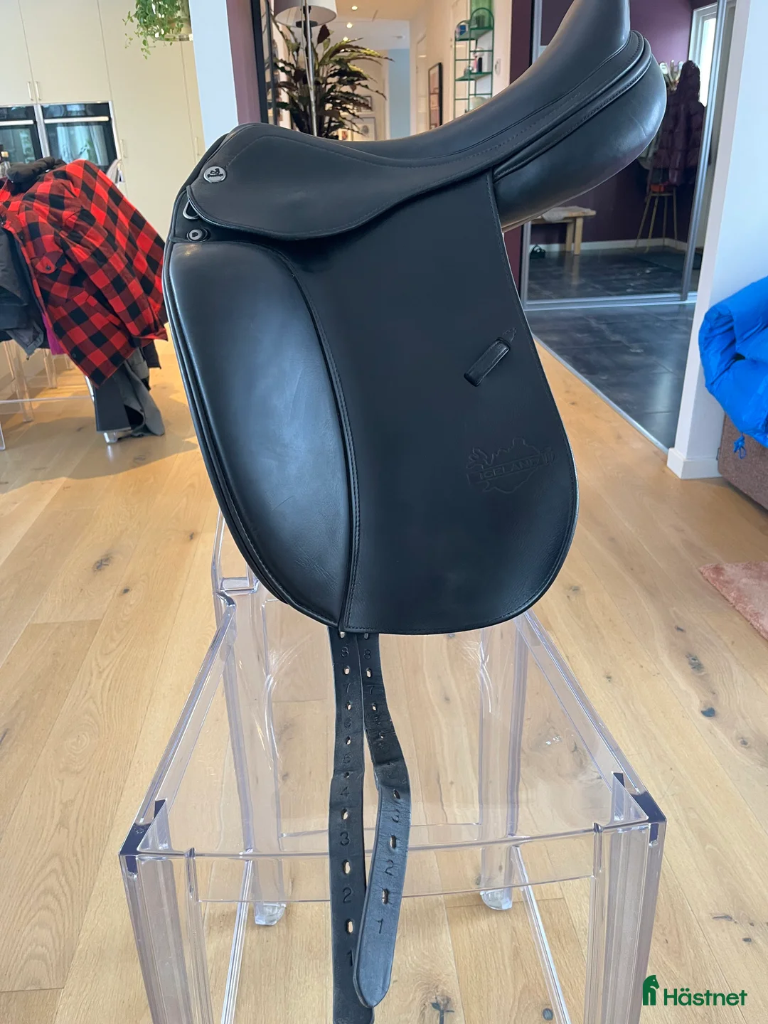 Sadlar hästutrustning till salu: Prestige Icelandic Dressyr  - Annons 2