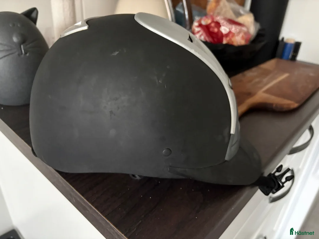 Hjälmar ryttarutrustning till salu: Hjälm (aldrig åkt i backen) - Annons 1