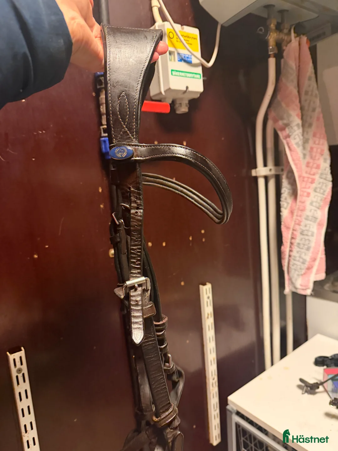 Träns hästutrustning till salu: Ps of sweden träns  - Annons 5