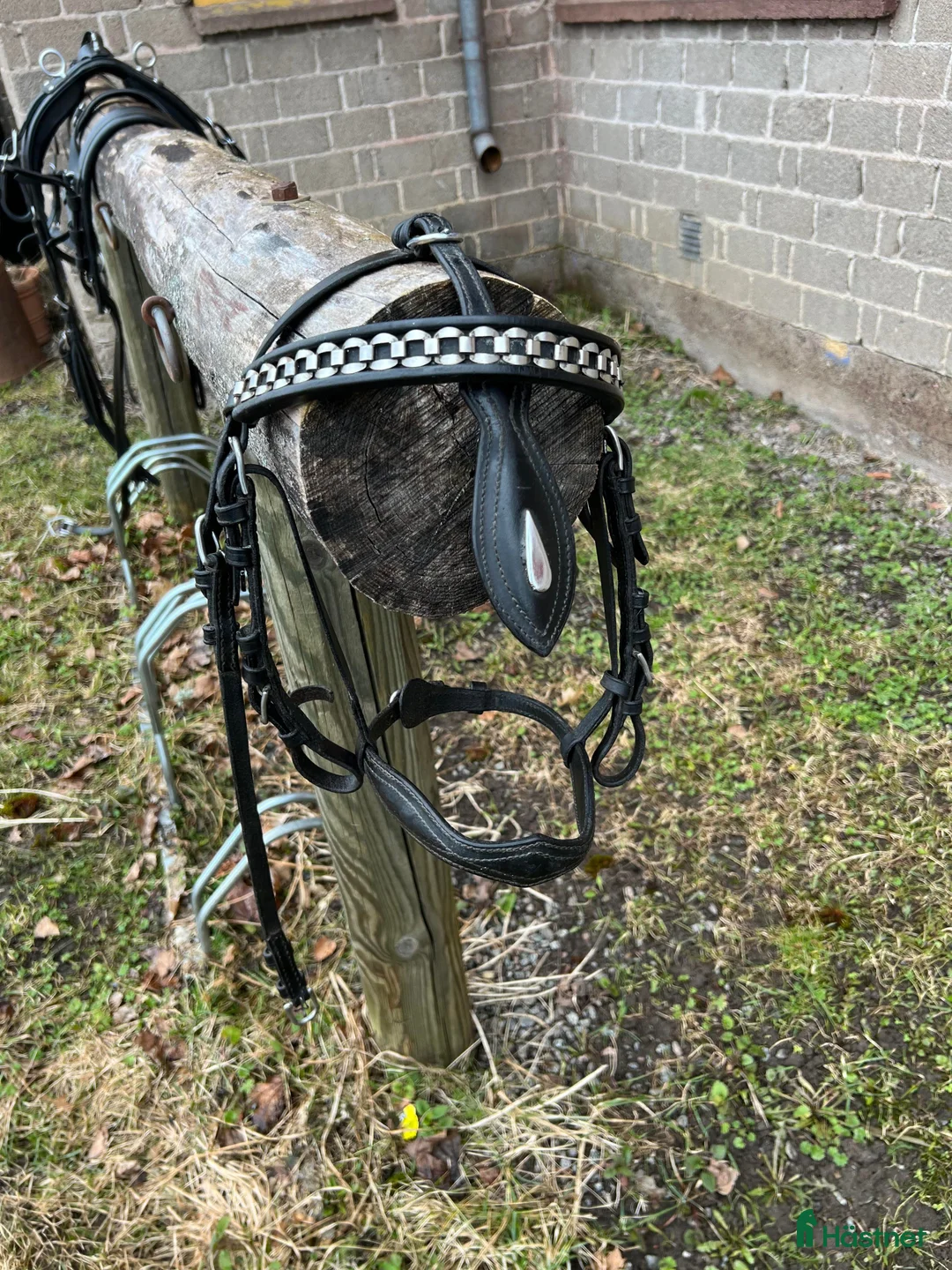 Körvagnar körning till salu: Fin körvagn - Rockard för A-B ponny i Vallentuna - Annons 8