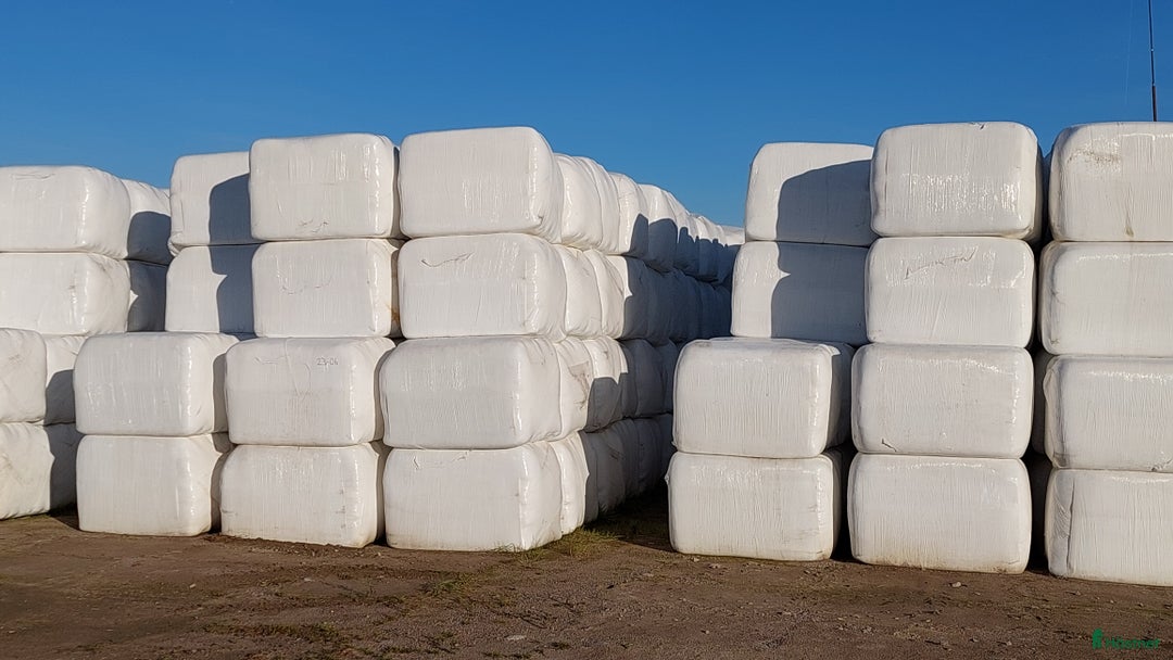 Övrig utrustning övrig utrustning till salu: Hösilage i fyrkantsbal i Enköping - Annons 1