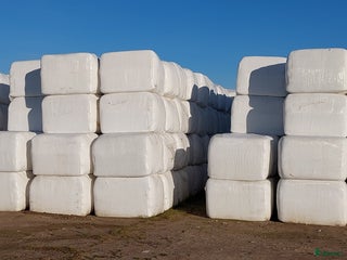 Övrig utrustning övrig utrustning till salu: Hösilage i fyrkantsbal i Enköping - Annons 17