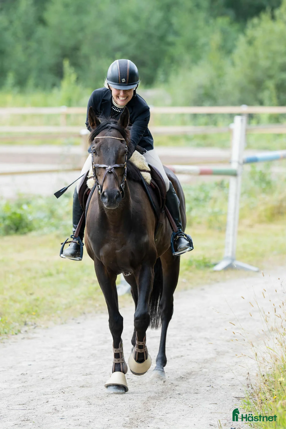 Allround hästar till salu: Guld ämne - Annons 1