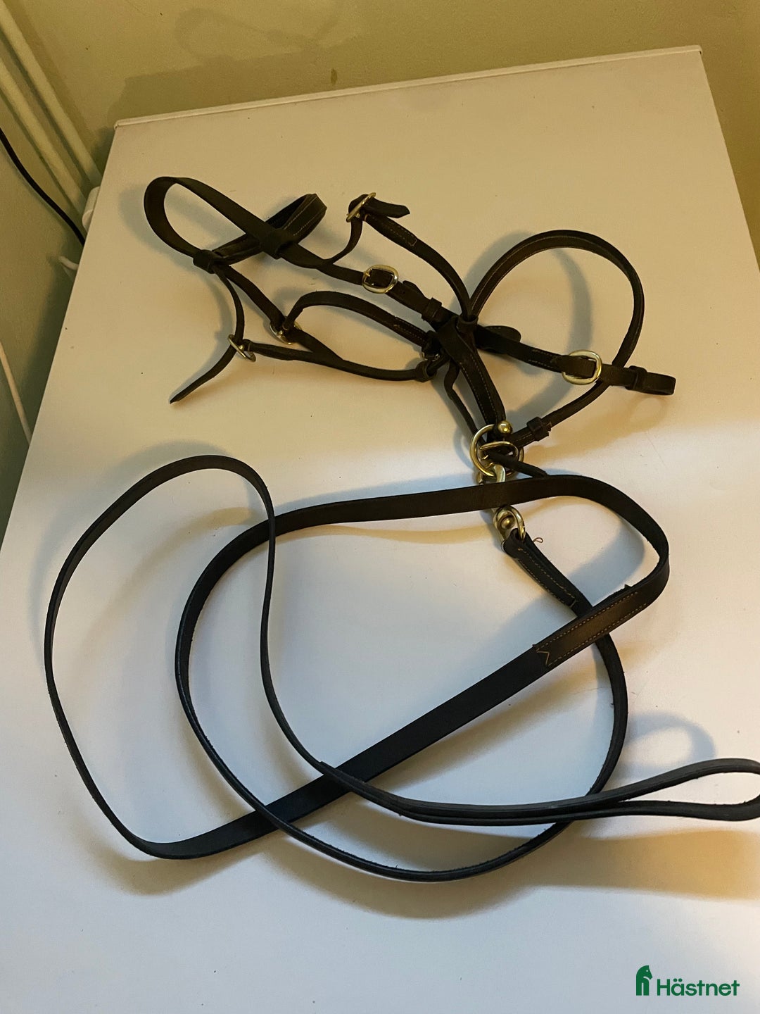 Träns hästutrustning till salu: Uppvisningsträns föl i Vallberga - Annons 2