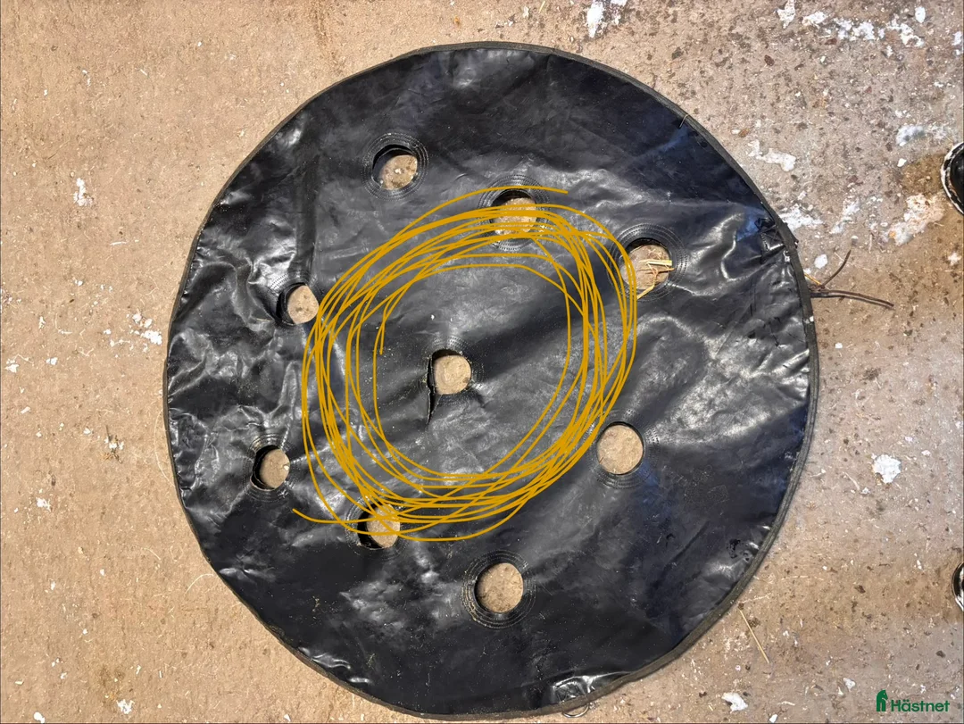 Övrig utrustning övrig utrustning till salu: Kentucky hökudde XL slowfeeder - Annons 3