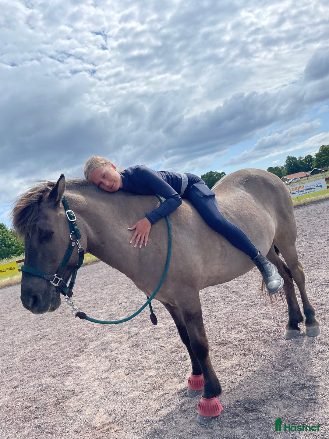 Island hästar sökes: Söker islandshäst på foder  i Mönsterås - Annons 2