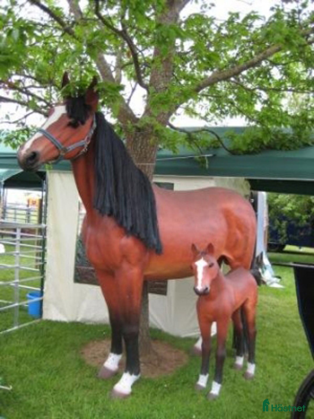 Hästinspirerad heminredning övrig utrustning till salu: Unika glasfiberhästar i naturlig storlek i Luleå - Annons 30
