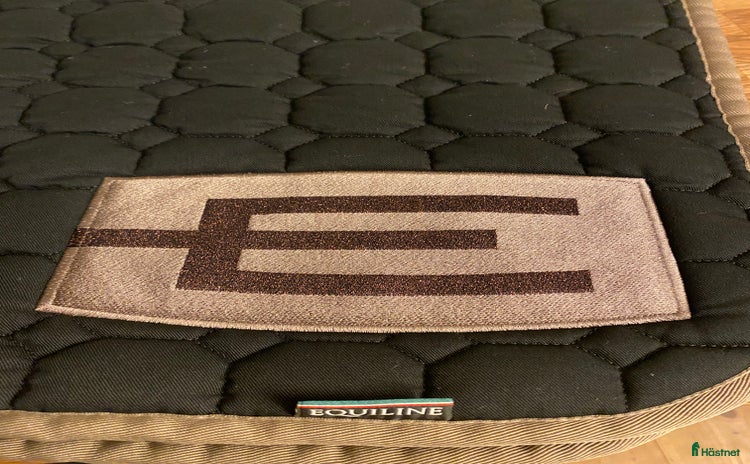 Schabrak & Vojlockar hästutrustning till salu i Brålanda - Annons 8