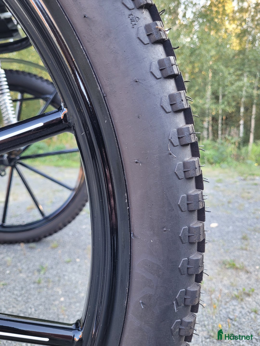 Körvagnar körning till salu: Gig med bröstsele i Tingsryd - Annons 3