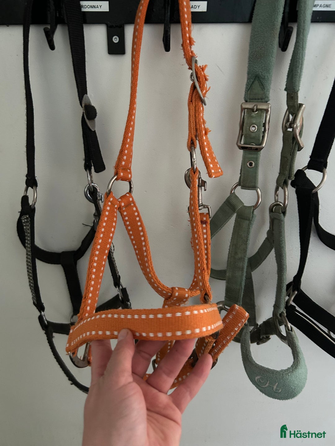 Övrig Hästutrustning hästutrustning till salu: 4 cob grimmor i Vellinge - Annons 4