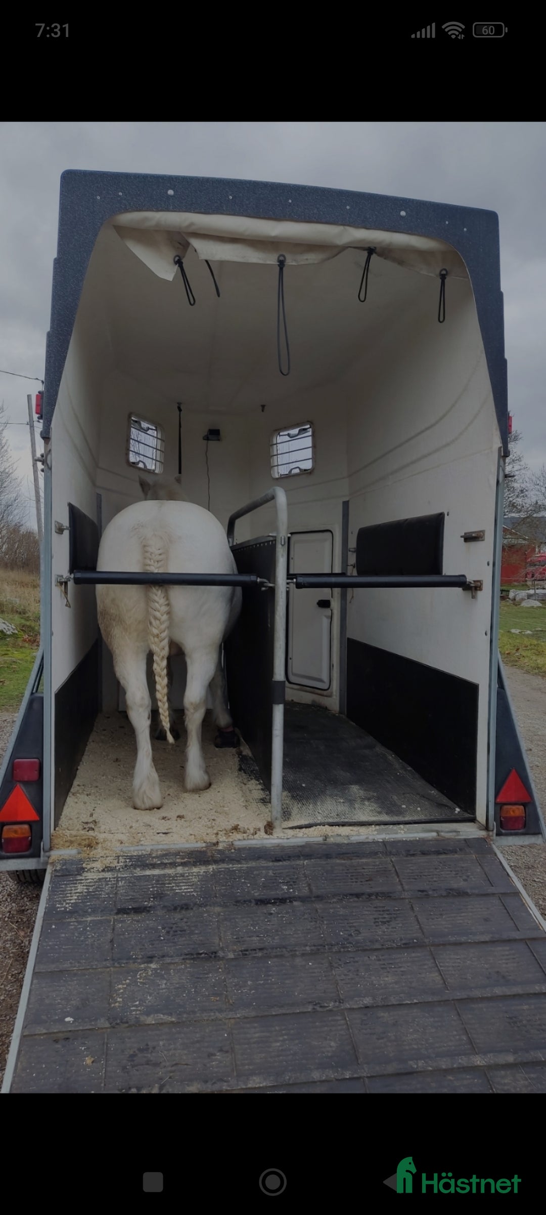 Hästtransporter  fordon & transport till salu: Fin Christ Comet med plastgolv  i Brottby - Annons 2