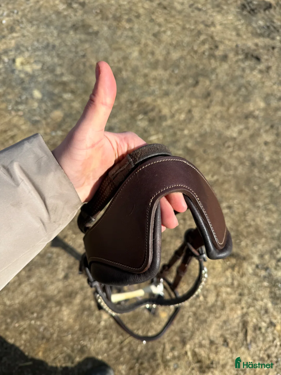 Träns hästutrustning till salu: Antares träns full  - Annons 2