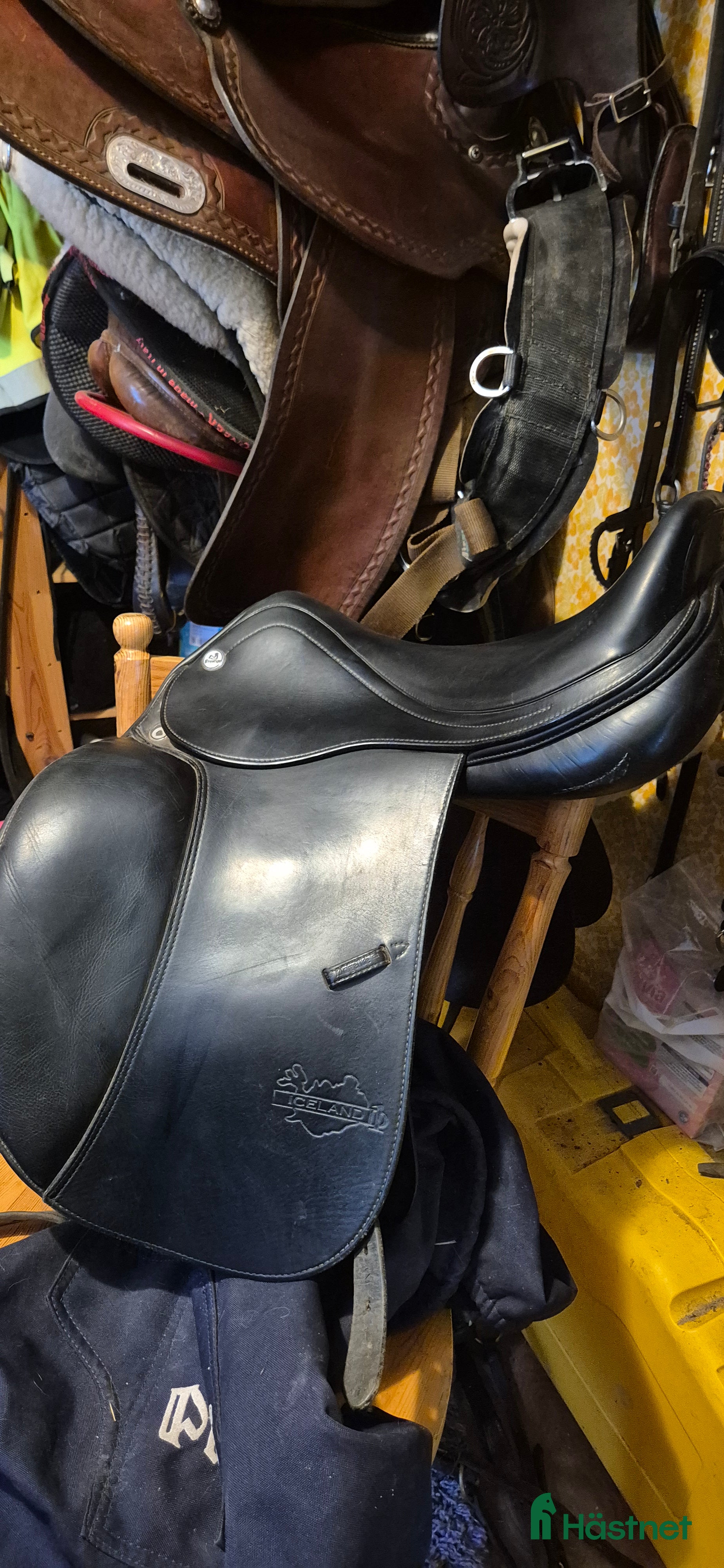 Sadlar hästutrustning Prestige iceland D1 - Annons 20