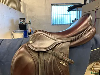 Sadlar hästutrustning CWD Mademoiselle i Hörby - Annons 5