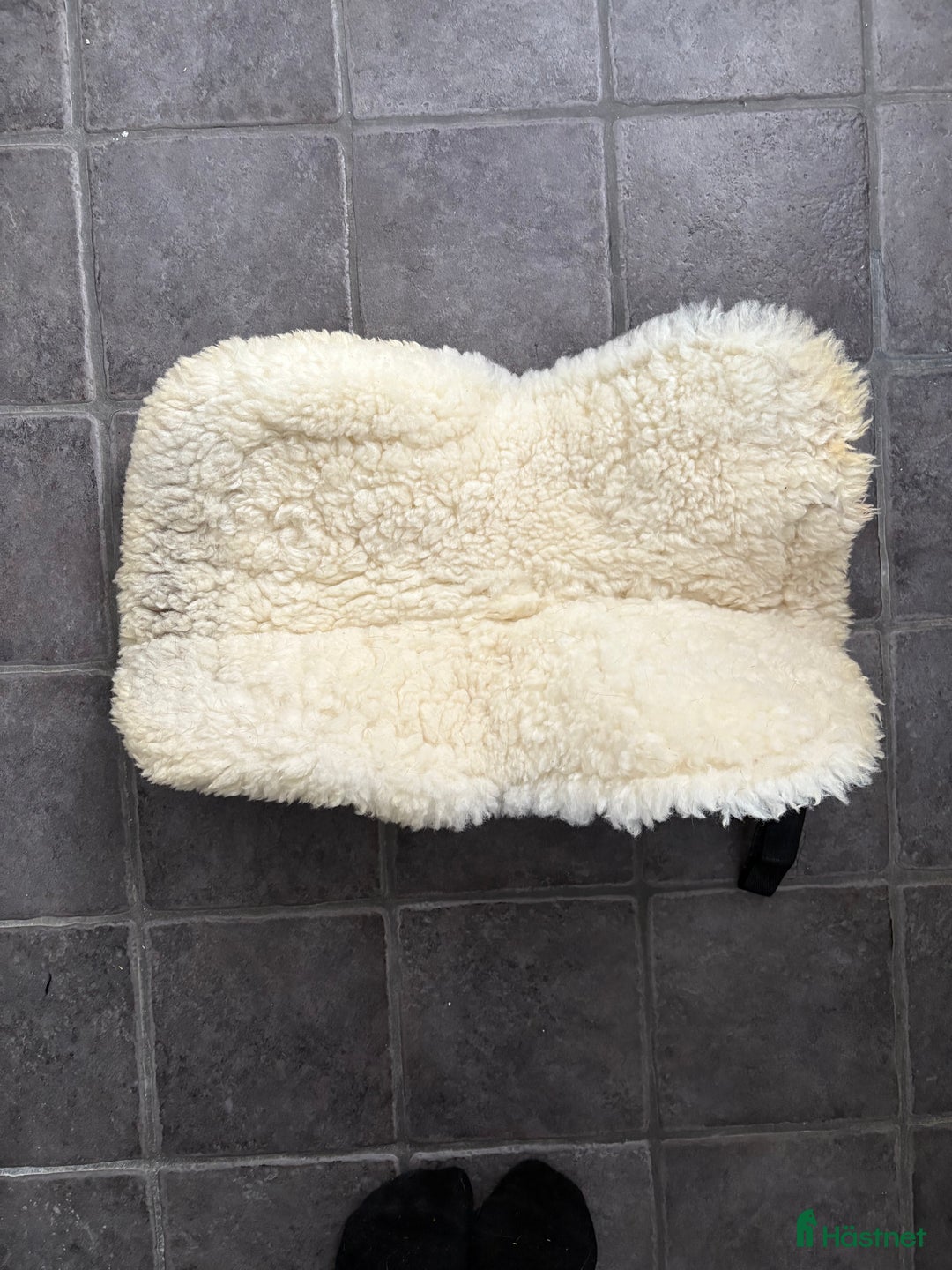 Sadeltillbehör hästutrustning till salu: Diverse sadeltillbehör säljes i Fjälkinge - Annons 4