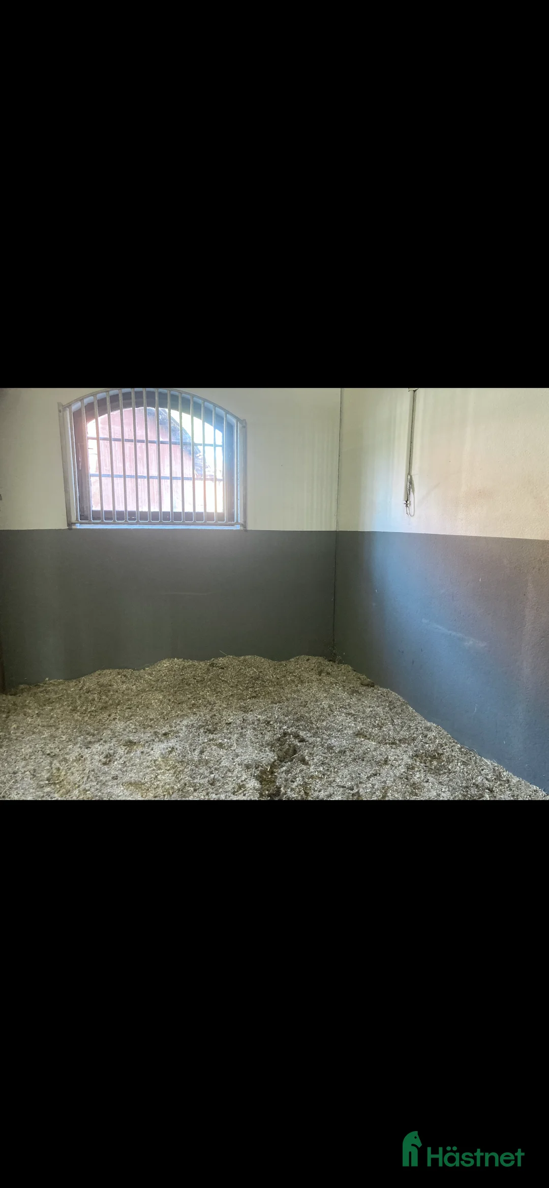  stallplats finnes: Ledig boxplats- Stall Dalsta i Grödinge - Annons 2