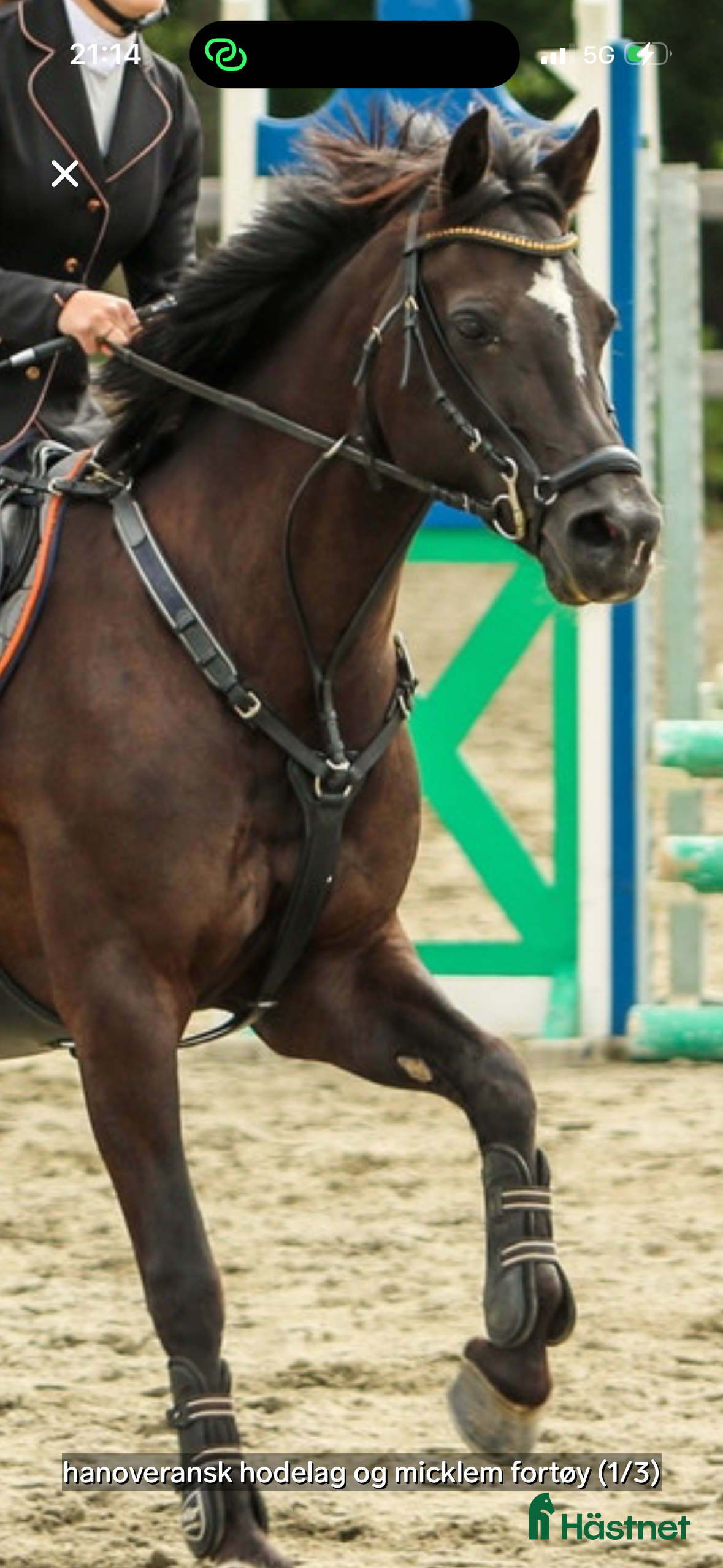 Övrig Hästutrustning hästutrustning Micklem fortøy i Alvdal - Annons 2