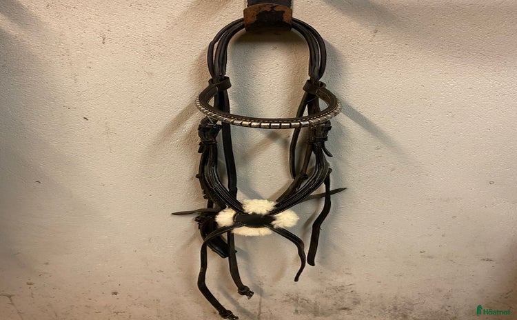 Träns hästutrustning till salu i Lund - Annons 13