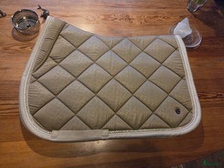 Schabrak & Vojlockar hästutrustning till salu: Ps hopp schabrak i Rånäs - Annons 2