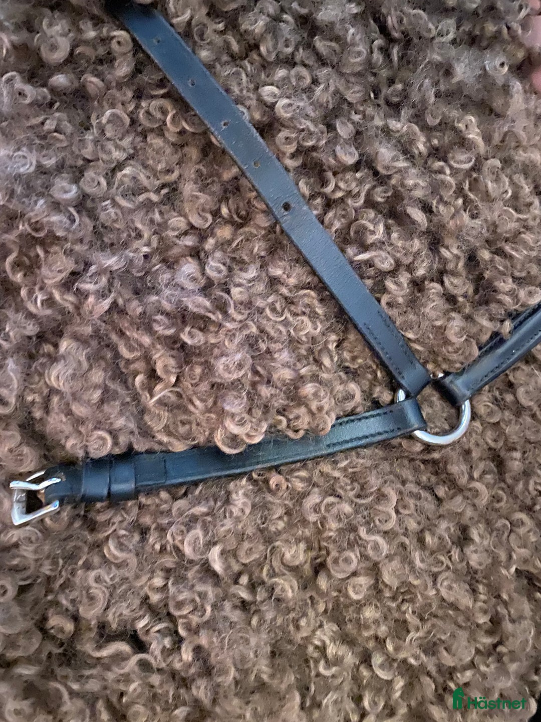 Träns hästutrustning till salu: Polarnosgrimma och pannband säljs! i Frillesås - Annons 5