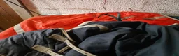 Täcken hästutrustning till salu: 125 cm tunt vintertäcke - Annons 3