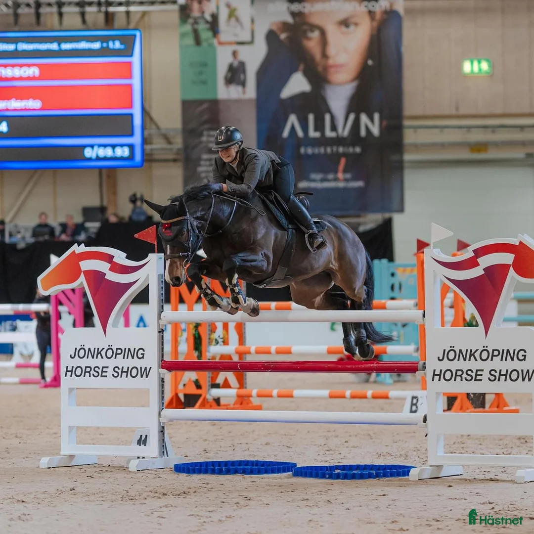 Galleribild {{count}}