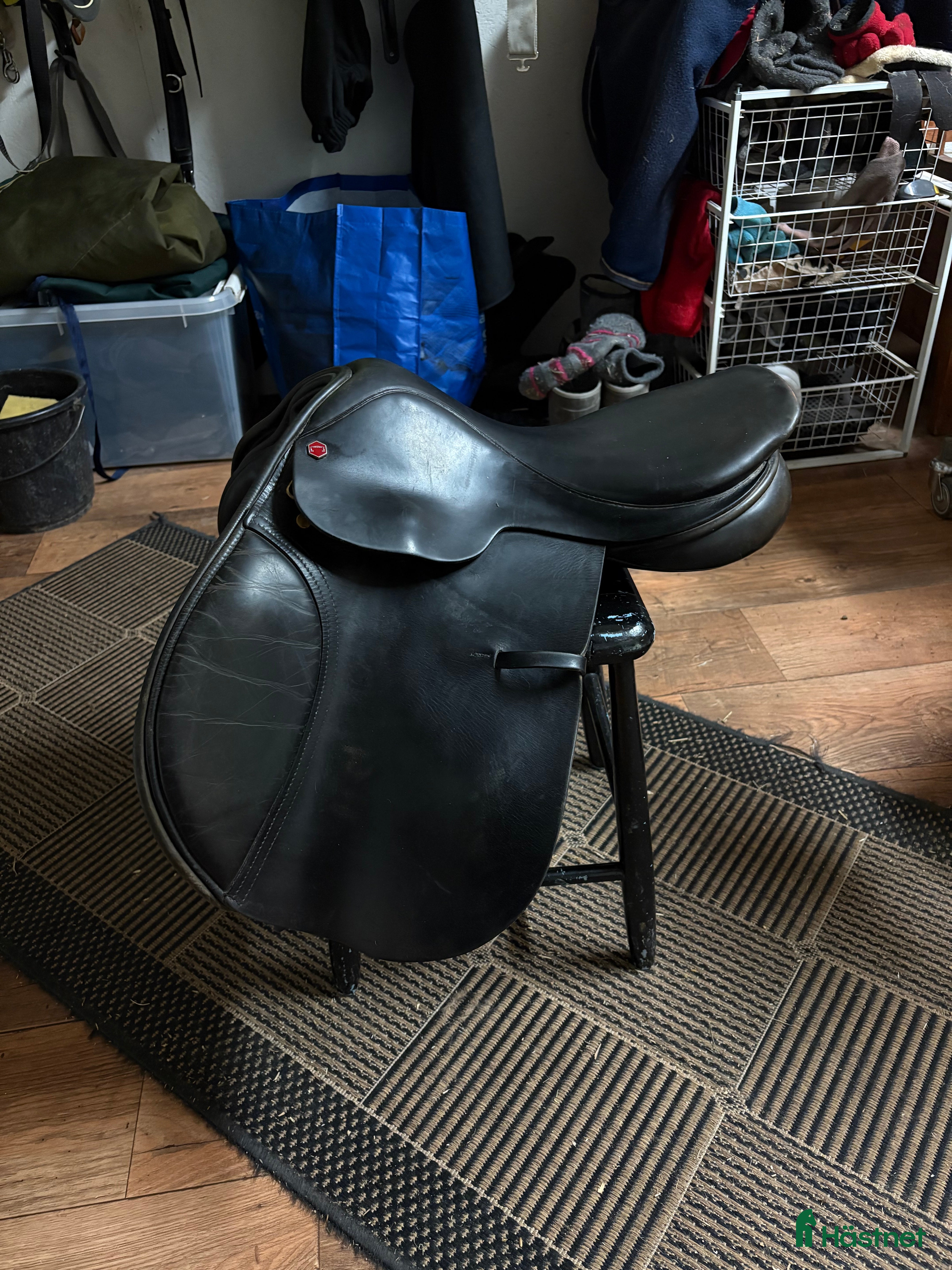 Sadlar hästutrustning till salu: Albion Legend  i Söderköping - Annons 2