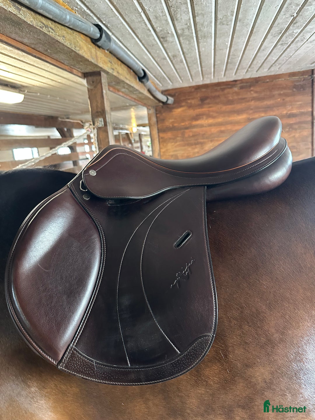 Sadlar hästutrustning till salu: Equipe Expression  i Vittskövle - Annons 3