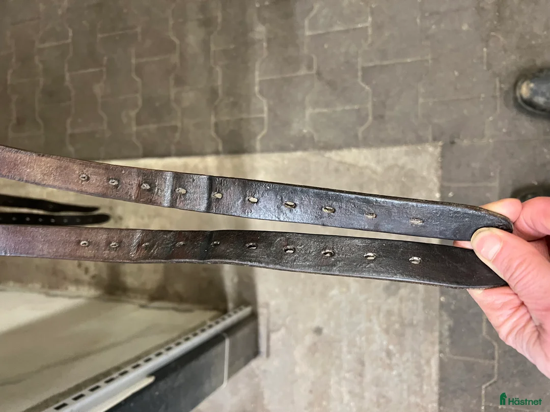 Sadlar hästutrustning till salu: Childeric DI 18” i Hölö - Annons 6