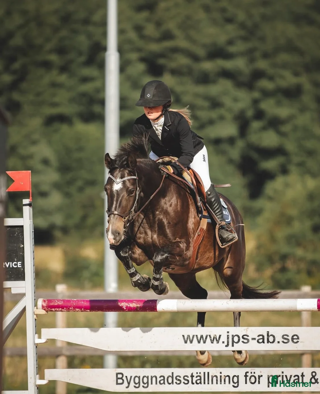 Hoppning hästar sökes: Samarbete sökes! - Annons 1