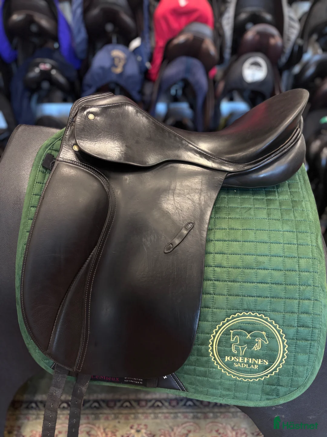 Sadlar hästutrustning till salu: Passier Grand Gilbert ✨ - Annons 1