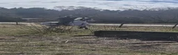 Fälttävlan hästar till salu: Läromästare med mycket kvar att ge i Nyköping - Annons 3