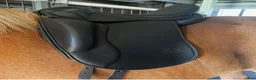 Sadlar hästutrustning till salu: Mycket fin Töltrider Glampi sadel - Annons 1