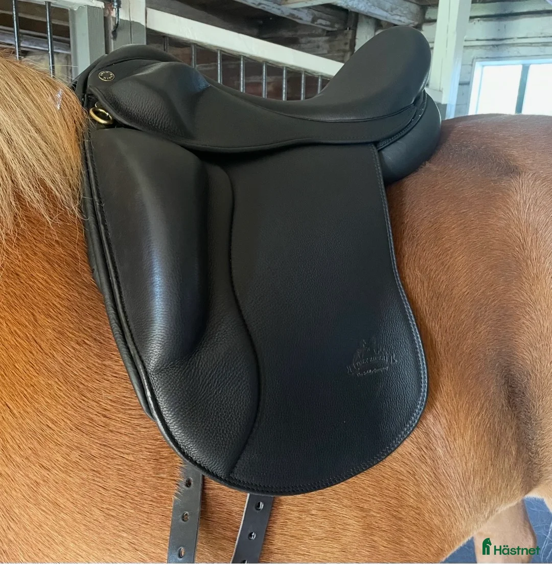 Sadlar hästutrustning till salu: Mycket fin Töltrider Glampi sadel - Annons 1